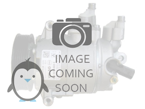 Original Delphi SP-10 compressor Landini 720975 71721705 717638, 3541139M91 3676563M91 46443509 46469764 720975 71721705 717638 R35Z-7 R35Z7 717638091002 883541139 1201901 22E-979-1110, 015155, 1016-00450, 205A59, 5800117, 040654, 40654, 16372954, FG2030392, 508-810